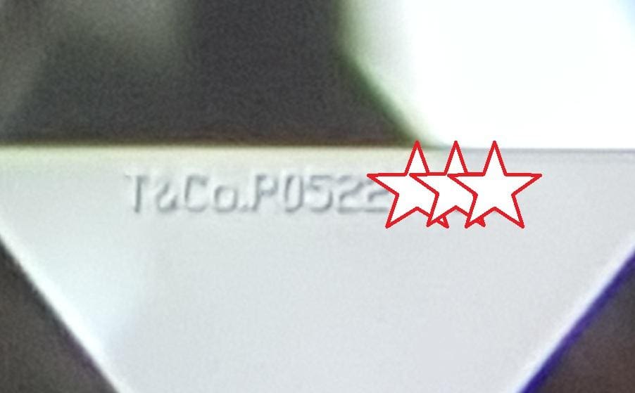 Tiffany & Co. Soleste Round Diamond Double Halo Engagement Ring 0.64 ct Rt $8.6K